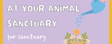 The background of this image is lavender with a yellow border. There is text on the left side of the graphic that says "six ways to foster critical thinking at your animal sanctuary for sanctuary educators". On the right side of the graphic there is an illustration of a blue watering can that is sprinkling water over an illustration of a person who has flowers growing out of the top of their head. They are wearing a salmon-colored shirt with a white collar.