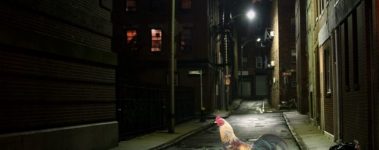 An image of a city alley at night, with a rooster standing under streetlights.