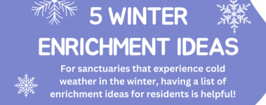 "5 Winter Enrichment Ideas For sanctuaries that experience cold weather in the winter, having a list of enrichment ideas for residents is helpful!" there are snow flakes swirling around the words on a blue background.