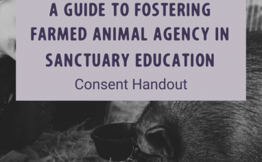 A Guide to Fostering Farmed Animal Agency in Sanctuary Education Guiding Questions (1)