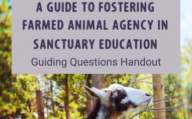 A Guide to Fostering Farmed Animal Agency in Sanctuary Education Guiding Questions