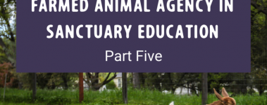 A Guide to Fostering Farmed Animal Agency in Sanctuary Education Part Five Post (9)