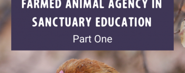 A Guide to Fostering Farmed Animal Agency in Sanctuary Education Part One Post (4)