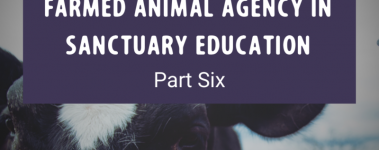 A Guide to Fostering Farmed Animal Agency in Sanctuary Education Part Six Post (1)