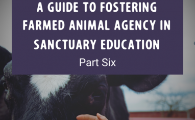 A Guide to Fostering Farmed Animal Agency in Sanctuary Education Part Six Post (1)