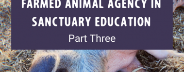 A Guide to Fostering Farmed Animal Agency in Sanctuary Education Part Three Post