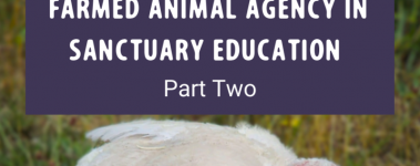 A Guide to Fostering Farmed Animal Agency in Sanctuary Education Part Two Post (1)