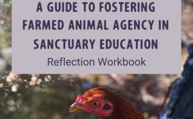 A Guide to Fostering Farmed Animal Agency in Sanctuary Education Reflection Workbook (2)