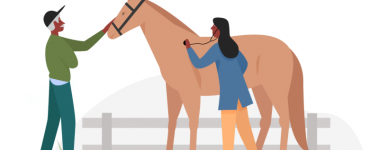 A cartoon tan horses wearing a bridle stands in front of a grey fence while a veterinarian wearing a blue coat uses a stethoscope to check their heart rate. A person wearing a dark ball cap and green sweater holds the horses lead rope.