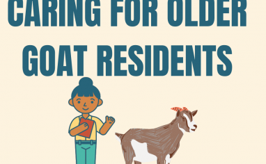 Teal lettering reading, "CARING FOR OLDER GOAT RESIDENTS" sits on a creamy background. A graphic of a brownskinned person in a yellow shirt and green pants holds a clipboard. Next to them is a brown and white goat with small horns and grey streaks of hair.