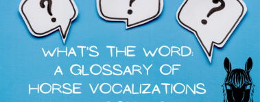 A blue banner contains three speech bubbles with black question marks inside them. Below the words "Whats The Word: A Glossary Of Horse Vocalizations And Sounds is displayed next to the smiling face of a black cartoon horse.