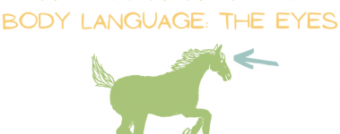 A graphic reads "Understanding Horse Body Language: The Eyes" over an illustration of a horse with an arrow pointing towards their eyes.
