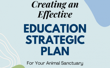 Creating an Effective Education Strategic Plan IG Post
