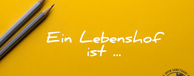 Ein-Lebenshof-ist-Open-Sanctuary-Project