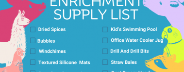 "Enrichment Supply List" is written across a bright blue banner. A list of enrichment items and check boxes sit below, such as "dried spice, bubbles, and a kid's pool." On the left and right edges of the banner are animal icons. A bright pink pig, a white llama, and a peach colored chicken are on the left and a lilac colored cow, a bright green parrot, and a yellow racoon are on the right.