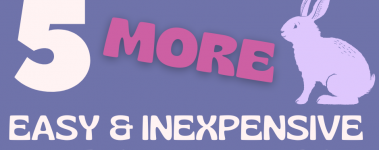 Title is white and reads"5 More Easy And Inexpensive Tips". The background is periwinkle blue and there is a lavender bunny sitting next to the word more which is fuschia