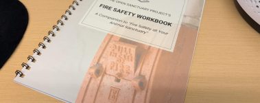 Our Fire Safety Workbook printed and bound