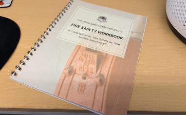 Our Fire Safety Workbook printed and bound