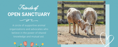 Friends of OSP Header and Subheader Images for Website