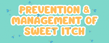 A teal background has the shadow of a horse graphic and small blue and yello midges upon it. In the center are the words "Prevention And Management Of Sweet Itch" in light orange lettering outlined with white.