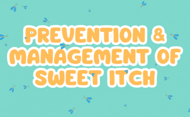 A teal background has the shadow of a horse graphic and small blue and yello midges upon it. In the center are the words "Prevention And Management Of Sweet Itch" in light orange lettering outlined with white.