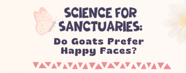 A light pink header reads: "Science For Sanctuaries: Do Goats Prefer Happy Faces?". To one side their is a graphic of a faded white daisy with a yellow center. To the other side is a faded graphic of a pink and deep blue butterfly.