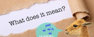 Banner reading "what does it mean?" with an alpaca and speech bubble with musical notes and the word humm.