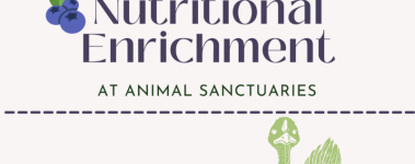 This graphic banner is in a very light pink with deep bluish purple text reading "Nutritional Enrichment" and more text in a dark green reading "at animal sanctuaries. There is a blue dotted line across the banner and a green turkey looking out.