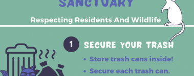 Open Sanctuary Compassionate Wildlife Practices Infographic Preview