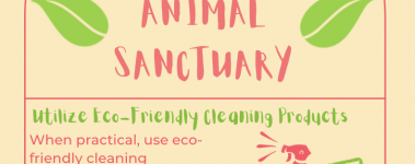Open Sanctuary Eco Friendly Sanctuary Infographic Preview