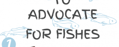 Open Sanctuary Fish Advocacy Infographic Preview