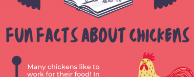 Open Sanctuary Fun Facts Chickens Infographic Preview