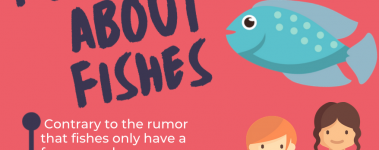 Open Sanctuary Fun Facts Fishes Infographic Preview