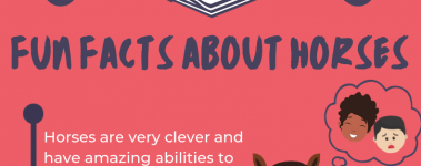 Open Sanctuary Fun Facts Horses Infographic Preview