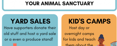 Open Sanctuary Fundraise Infographic Preview
