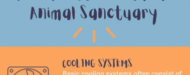 Open Sanctuary Hot Weather Infographic Preview