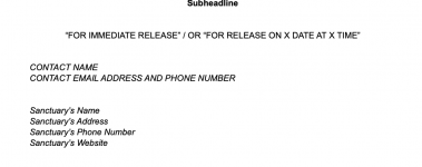 Open-Sanctuary-Press-Release-Template-Sample