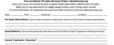 A sample of our cow health exam form!
