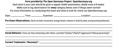 A sample of our duck health exam form!