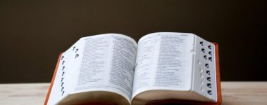Open-Sanctuary-Project-Glossary
