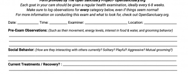 A sample of our goat health exam form!