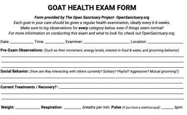 A sample of our goat health exam form!