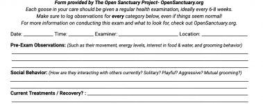 A sample of our goose health exam form!