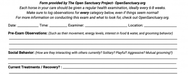 A sample of our horse health exam form!