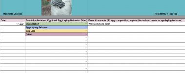 a spreadsheet logging chicken egg laying status