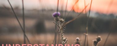 Open-Sanctuary-Project-Johnes