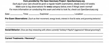 A sample of our pig health exam form!