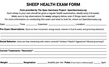 A sample of our sheep health exam form!