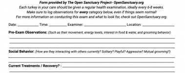A sample of our turkey health exam form!