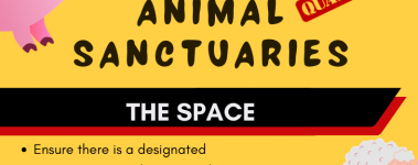Open Sanctuary Quarantine Infographic Preview